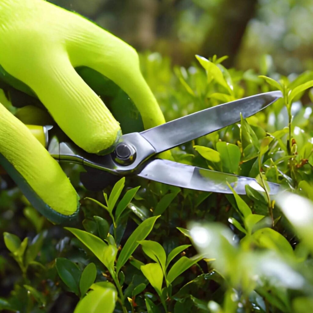 A person wearing bright green gardening gloves trims green leafy bushes with metal pruning shears outdoors.